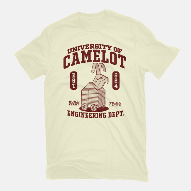 University Of Nonsense-Mens-Basic-Tee-Popnotic