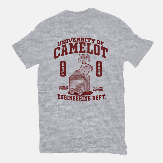 University Of Nonsense-Mens-Basic-Tee-Popnotic