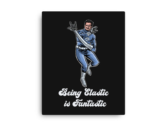 Elastic Fantastic