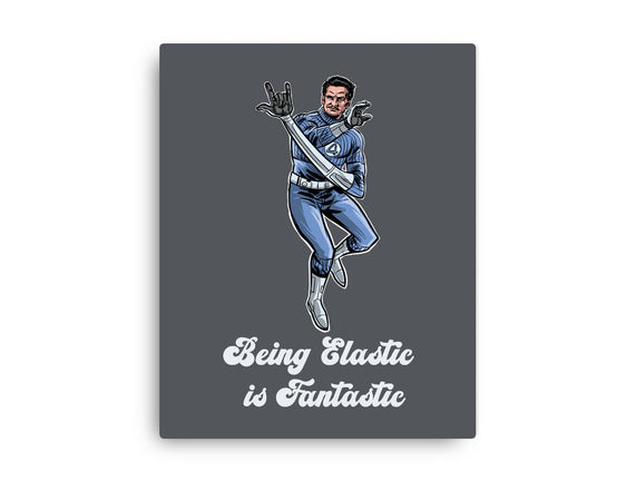 Elastic Fantastic