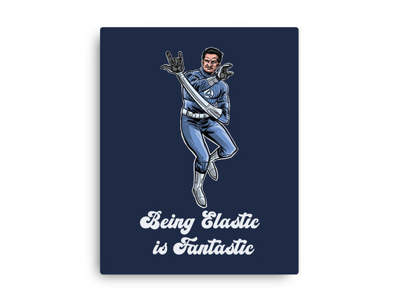 Elastic Fantastic