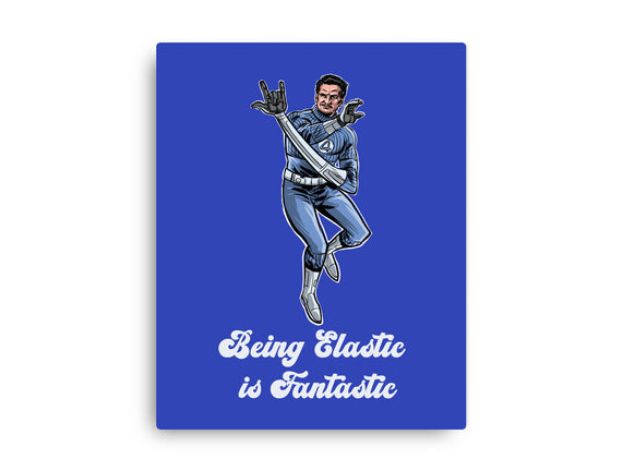 Elastic Fantastic