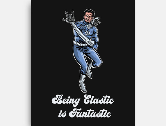 Elastic Fantastic