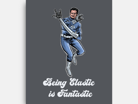 Elastic Fantastic