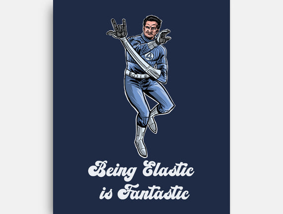 Elastic Fantastic