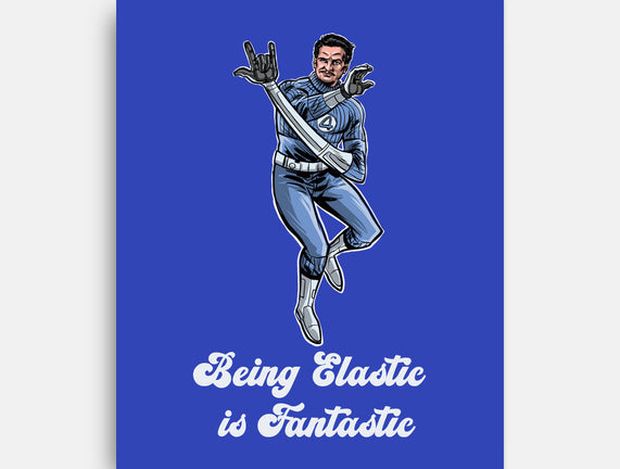 Elastic Fantastic