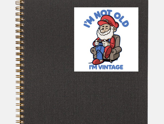 I Am Just Vintage