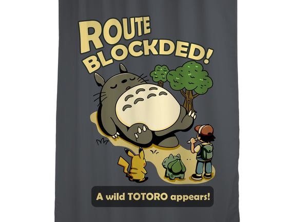 Route Blocked