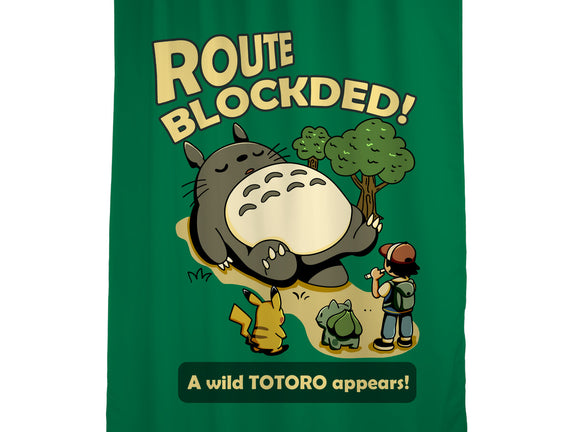 Route Blocked