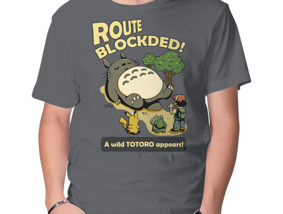 Route Blocked