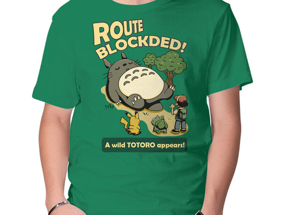 Route Blocked