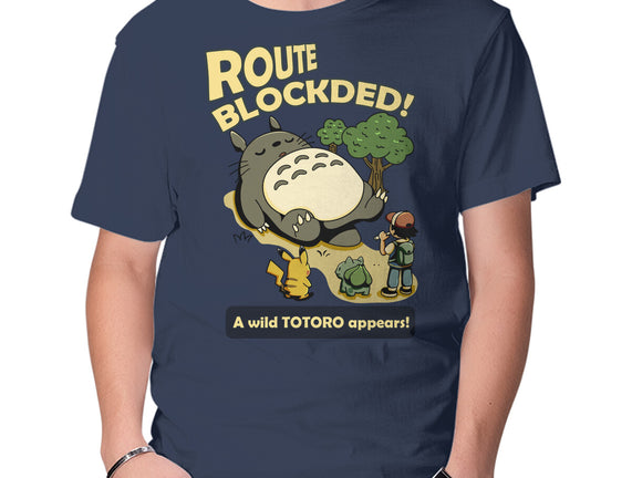 Route Blocked