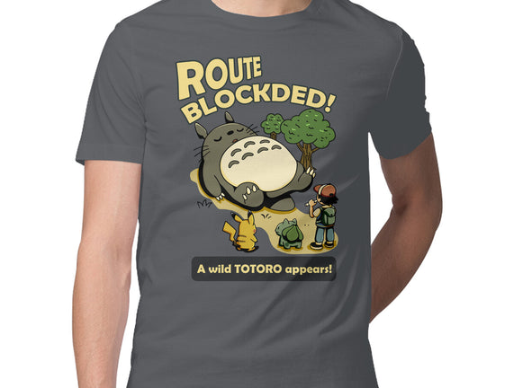 Route Blocked