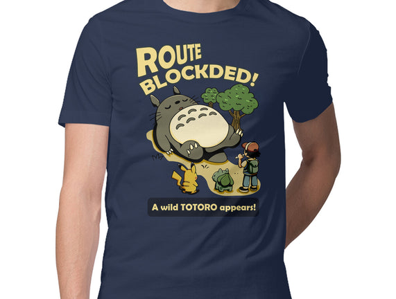 Route Blocked