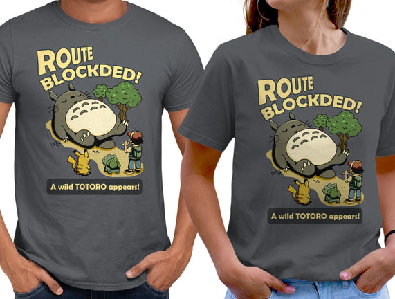 Route Blocked