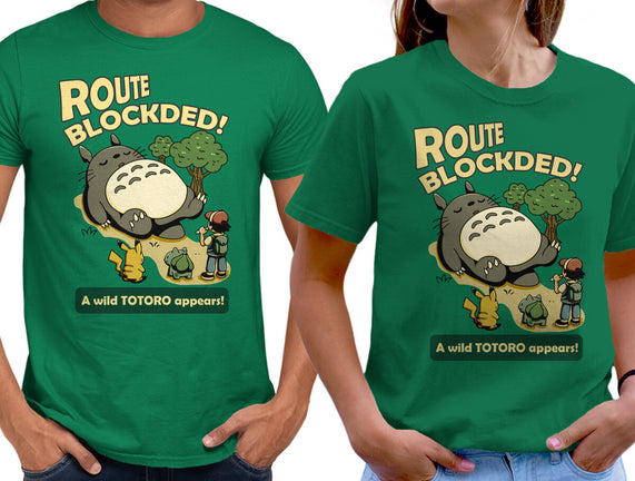 Route Blocked