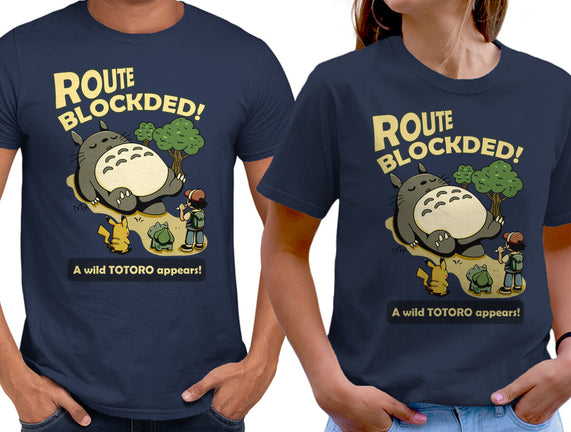 Route Blocked