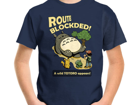 Route Blocked