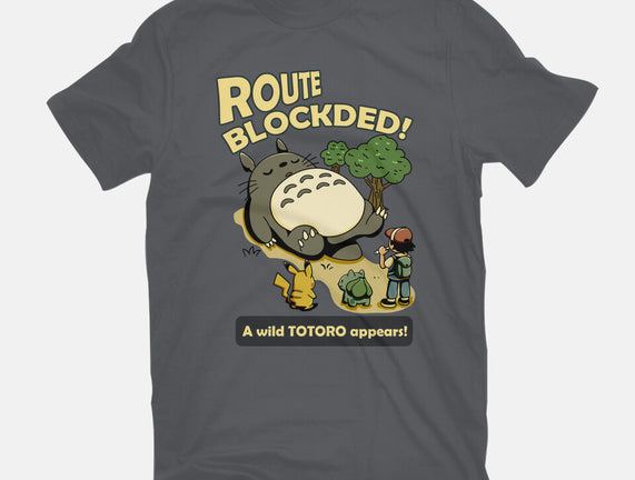 Route Blocked