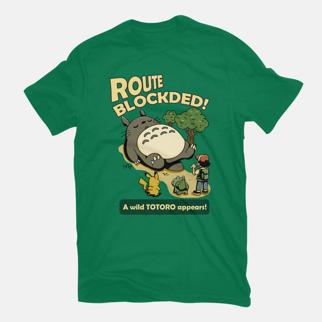 Route Blocked-Womens-Fitted-Tee-JamesQJO