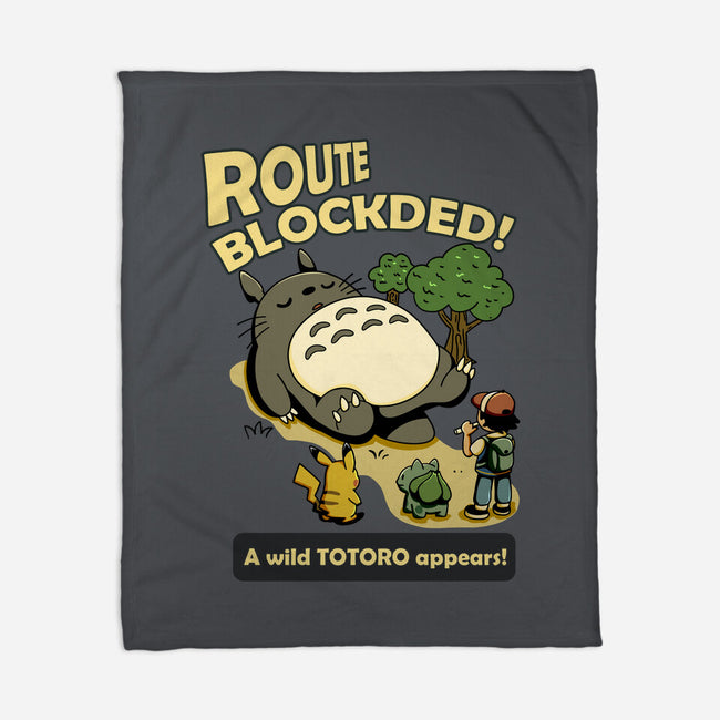Route Blocked-None-Fleece-Blanket-JamesQJO