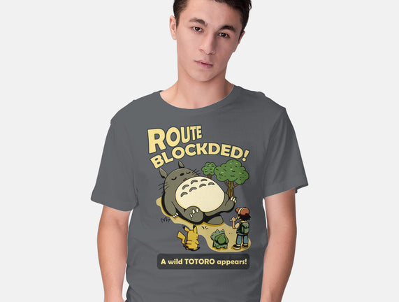Route Blocked