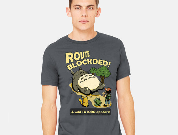 Route Blocked