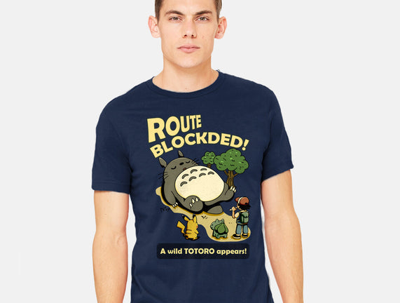 Route Blocked
