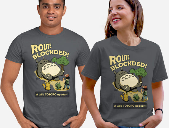 Route Blocked