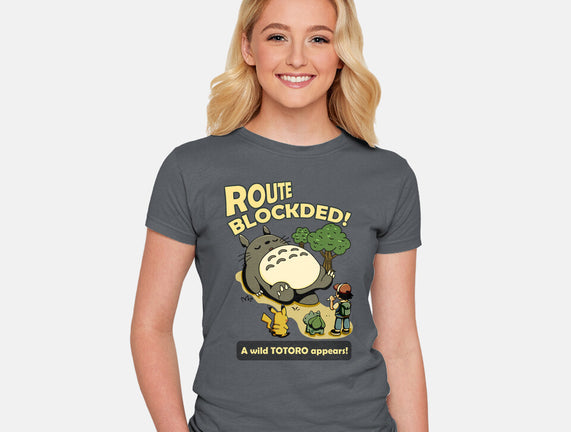 Route Blocked