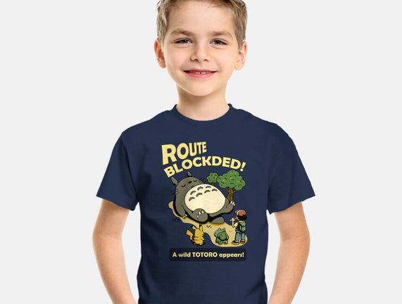 Route Blocked