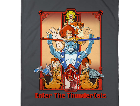 Enter The Cats