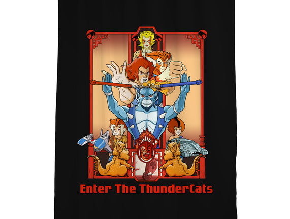 Enter The Cats