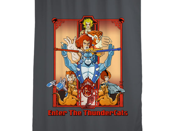 Enter The Cats