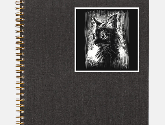 Cat Under The Rain
