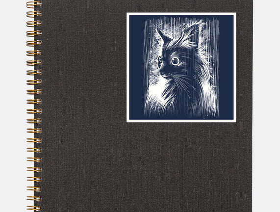 Cat Under The Rain