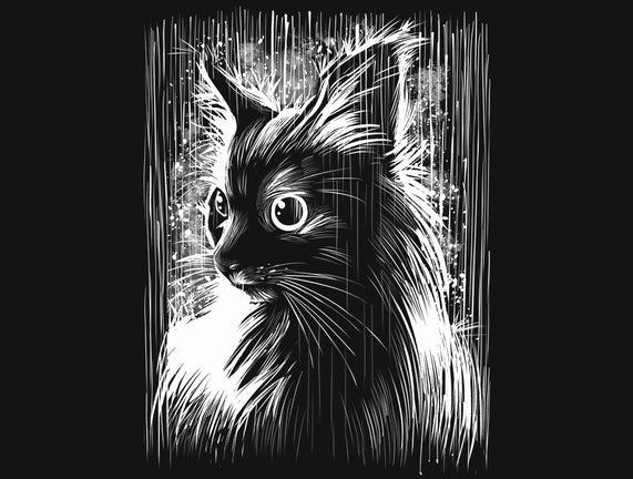 Cat Under The Rain