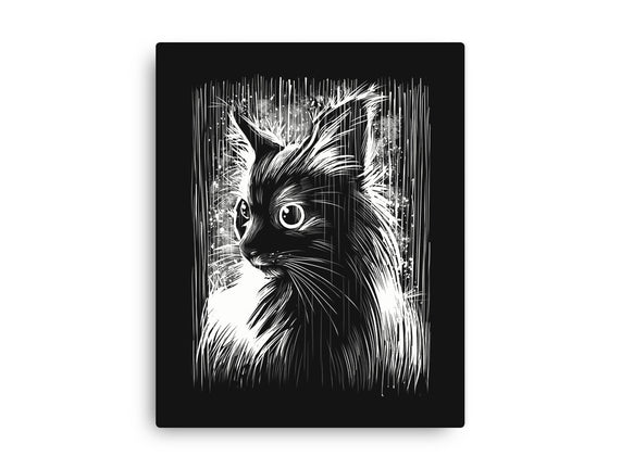 Cat Under The Rain