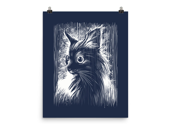 Cat Under The Rain