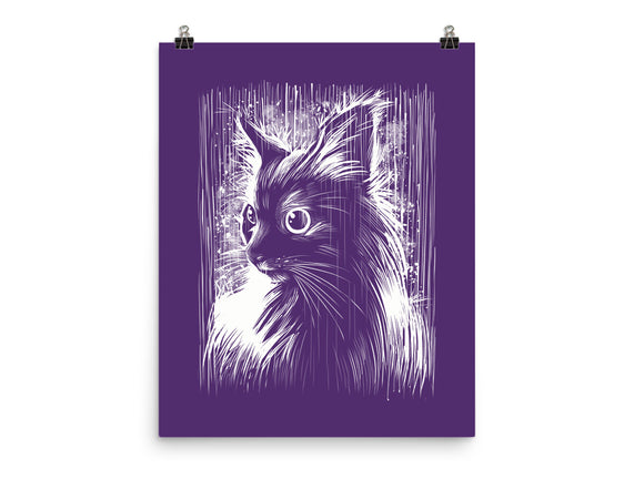 Cat Under The Rain