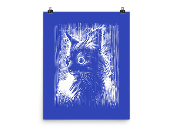 Cat Under The Rain
