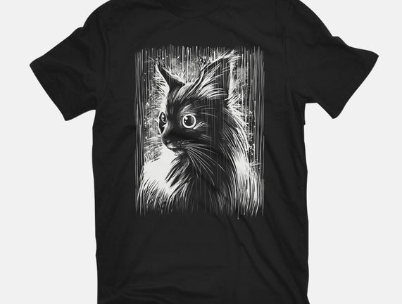 Cat Under The Rain