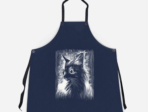 Cat Under The Rain