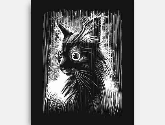 Cat Under The Rain