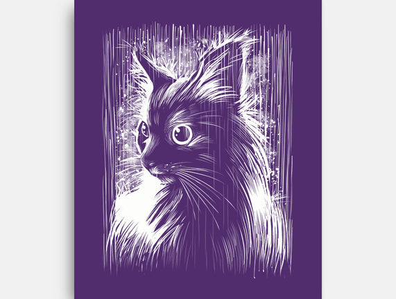 Cat Under The Rain