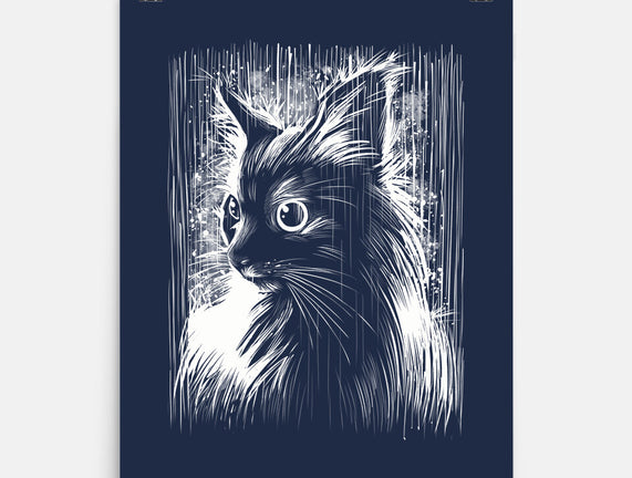Cat Under The Rain