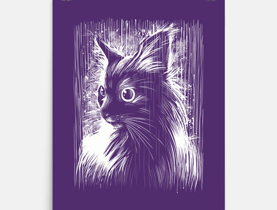 Cat Under The Rain