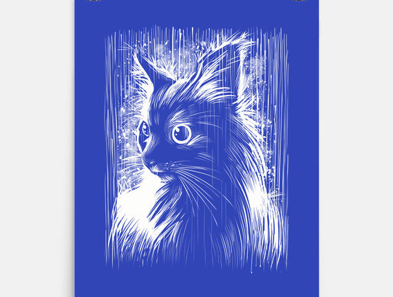 Cat Under The Rain