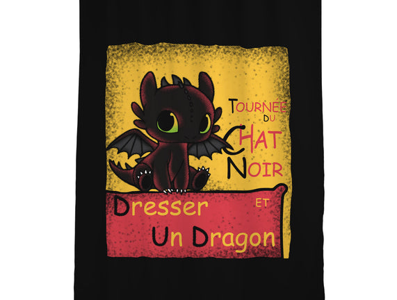 Dresser Un Dragon