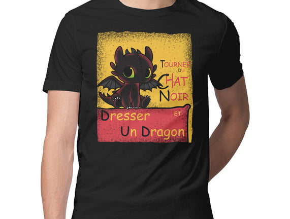 Dresser Un Dragon